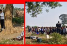 InCollage 20251113 094102914 1