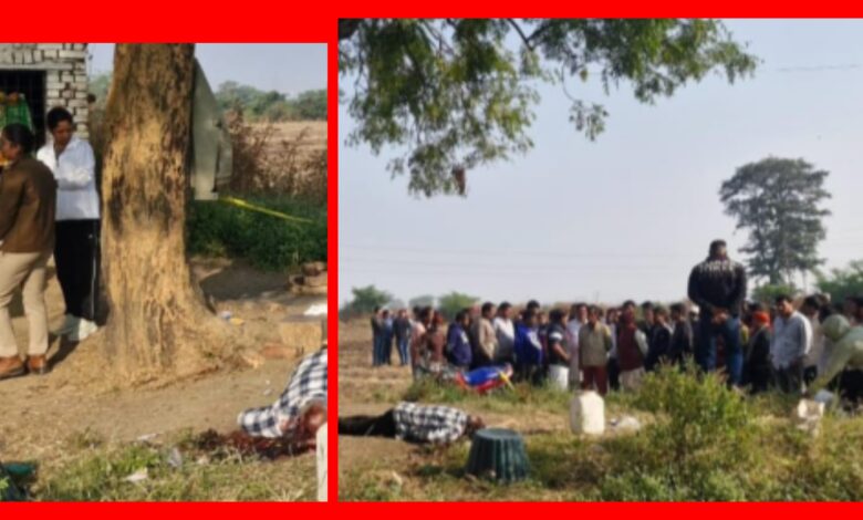 InCollage 20251113 094102914 1