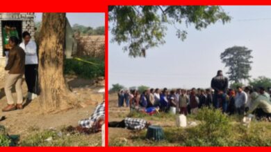 InCollage 20251113 094102914