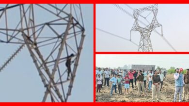 InCollage 20251113 202007847