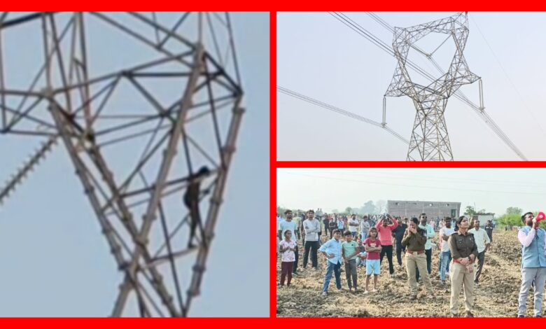 InCollage 20251113 202007847