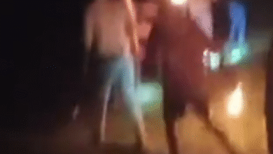 Screenshot 20251101 085546.Dainik Bhaskar