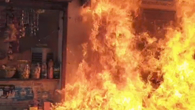 Screenshot 20251102 160110.WhatsApp 1