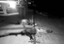 Screenshot 20251102 194719.Dainik Bhaskar