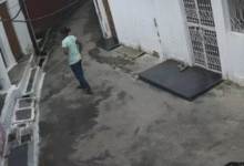 Screenshot 20251103 144923.WhatsApp