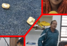 Screenshot 20251104 200309.Gallery