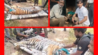 Screenshot 20251105 144519.Gallery