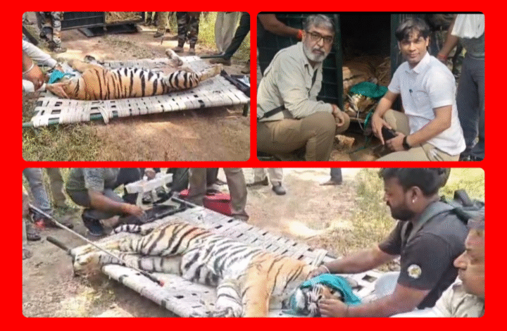 Screenshot 20251105 144519.Gallery