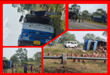 Screenshot 20251106 111902.Gallery 1