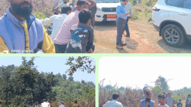 गौरहा-गंजताल रोड पर मिला तेंदुए का शव : शिकार या हादसा... जांच में उलझा वन विभाग 8 Screenshot 20251111 122013.WhatsApp