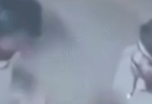 Screenshot 20251111 135224.Dainik Bhaskar