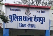 Screenshot 20251112 155329.Dainik Bhaskar