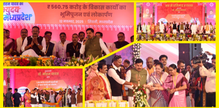 Screenshot 20251112 203609.Gallery