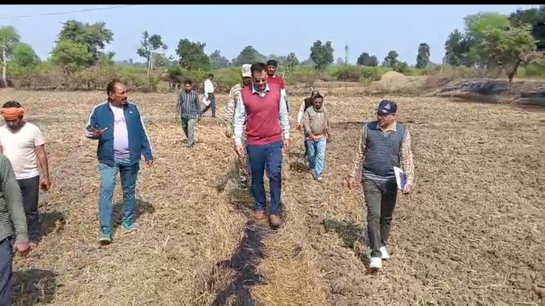 ऊबड़-खाबड़ रास्तों और मेंढ़ पर पैदल चलकर खेतों में पहुंचे कलेक्टर, नरवाई प्रबंधन के नवाचारों को देखा 2 Screenshot 20251113 132130 WhatsApp2