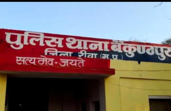 Screenshot 20251113 160022.WhatsApp