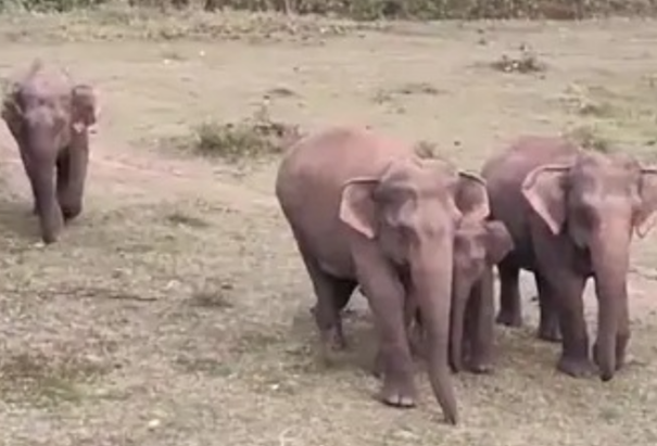 Screenshot 20251118 160744.WhatsApp