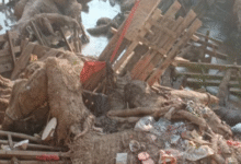 Screenshot 20251118 161646.WhatsApp