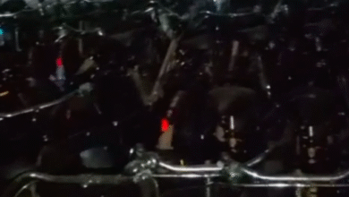 Screenshot 20251119 160624.WhatsApp