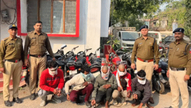 Screenshot 20251119 222023.Dainik Bhaskar