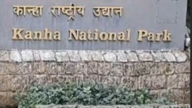 कान्हा टाइगर रिजर्व में चौथा तितली सर्वेक्षण : फील्ड डायरेक्टर बोले- 9 राज्यों के 58 वॉलिंटियर्स ने चार दिन तक किया सर्वे 11 Screenshot 20251120 122251.WhatsApp