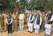 Screenshot 20251120 133858.Gallery