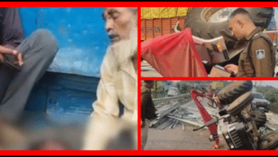 Screenshot 20251122 085704.Gallery