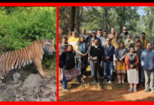 Screenshot 20251122 140940.Gallery