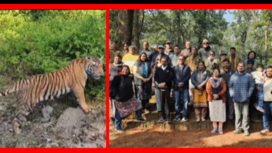 Screenshot 20251122 140940.Gallery