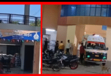 Screenshot 20251122 181951.Gallery