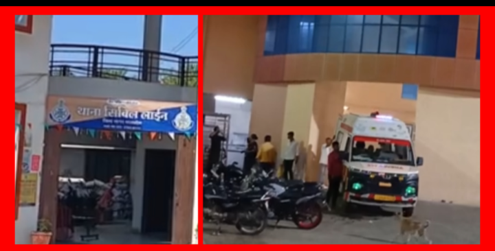 Screenshot 20251122 181951.Gallery