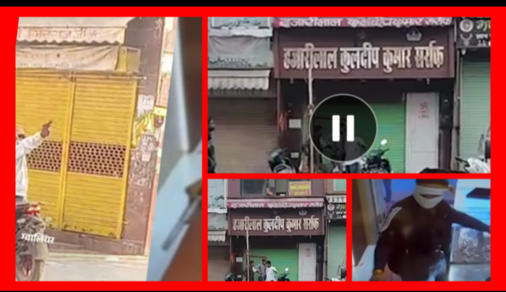 Screenshot 20251126 084205.Gallery