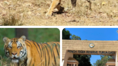 Screenshot 20251126 192006.WhatsApp