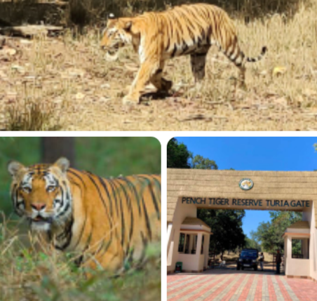 Screenshot 20251126 192006.WhatsApp