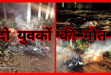 Screenshot 20251128 162455.Gallery