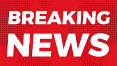 Screenshot 20251128 211306.Gallery