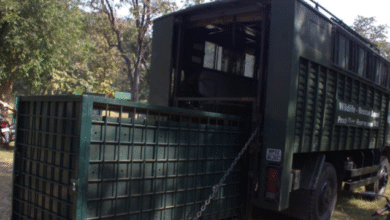 Screenshot 20251129 214918.WhatsApp