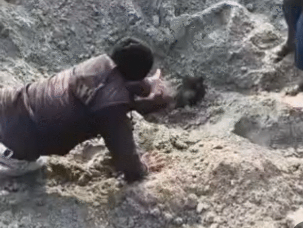 Screenshot 20251130 114651.Dainik Bhaskar