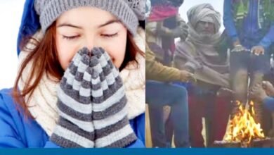 ठंडी हवाओं से बढ़ी ठिठुरन, 4 दिन शीतलहर का अलर्ट, जानें शहरों का हाल- 10 Untitled 2 copy 8