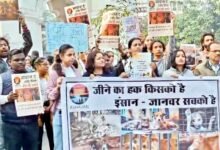 घण्टाघर चौक पर पशु-प्रेमियों का शांतिपूर्ण प्रदर्शन, स्ट्रे एनिमल्स की सुरक्षा को लेकर उठी मांग 11 Untitled 7 copy 6