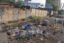 WhatsApp Image 2025 11 03 at 14.03.27