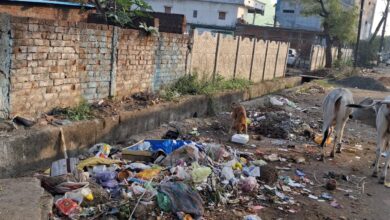 WhatsApp Image 2025 11 03 at 14.03.27