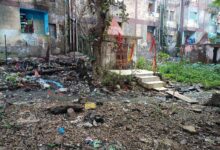 WhatsApp Image 2025 11 05 at 14.43.19