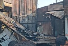 WhatsApp Image 2025 11 05 at 2.52.29 PM