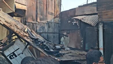 WhatsApp Image 2025 11 05 at 2.52.29 PM