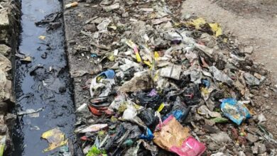 WhatsApp Image 2025 11 06 at 14.03.50