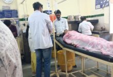 WhatsApp Image 2025 11 08 at 1.22.34 PM