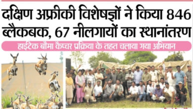 WhatsApp Image 2025 11 08 at 13.29.35