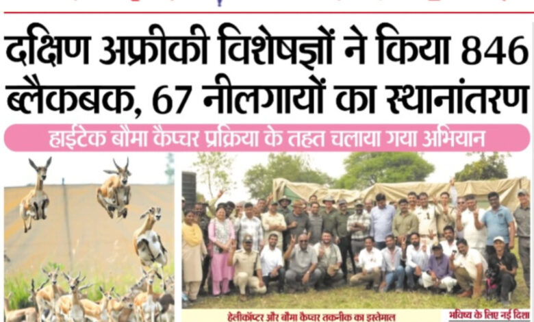 दक्षिण अफ्रीकी विशेषज्ञों ने किया 846 ब्लैकबक, 67 नीलगायों का स्थानांतरण 1 WhatsApp Image 2025 11 08 at 13.29.35