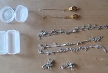 बस में बैठकर पर्स से जेवर चुराने वाली दो महिलायें गिरफ्तार 11 WhatsApp Image 2025 11 09 at 2.58.48 PM