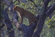 WhatsApp Image 2025 11 11 at 11.03.04 AM